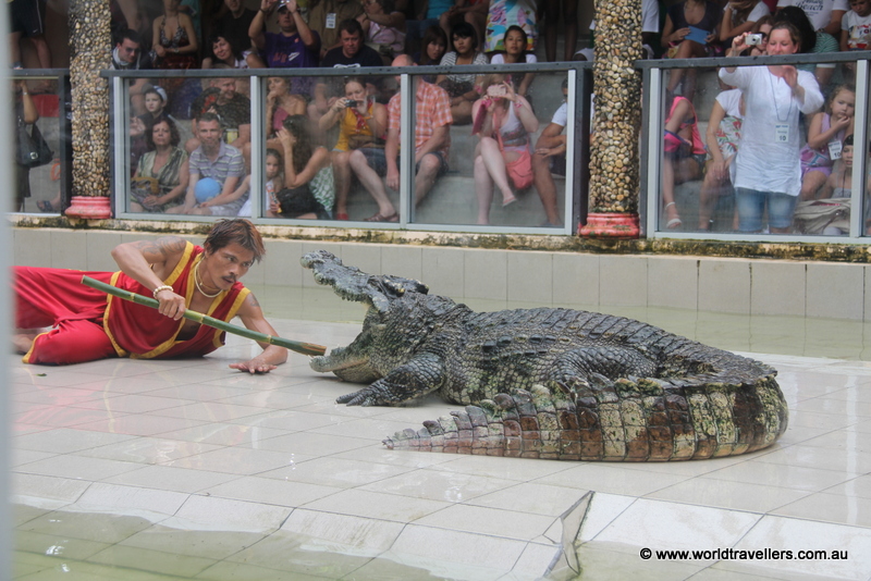 croc show